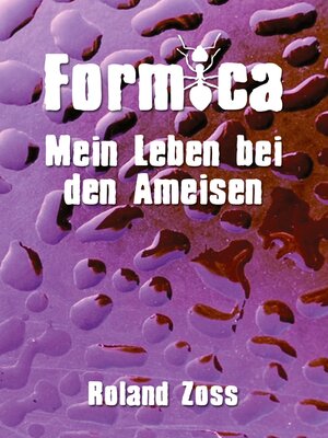 cover image of Formica